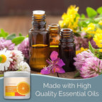 SMELLS BEGONE Air Freshener Odor Absorber Gel - 15 oz, Pack of 2 - Absorbs and Eliminates Odor in Pet Areas, Bathrooms, Cars, & Boats - Made with Essential Oils - Energizing Citrus Scent