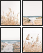 SIGNWIN Framed White Pampas Grass Beach Ocean Shore Horizon Wall Art, Set of 4 Landscape Colorful Wall Decor Prints, Nature Wilderness Wall Décor for Living Room, Bedroom - 11"x14" Black
