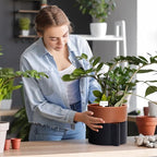 8 Inch Self-Watering Planter Pot with Terracotta Insert, Deep Water Reservoir, and Ceramic-Alike BPA-Free Plastic Planter Pot for Plant, Modern Planter for Houseplants, Black/Terracotta, 53-B-T-5