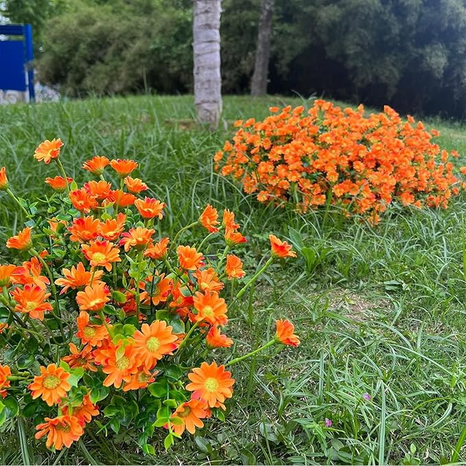 alyptus 8 Bundles Artificial Flowers for Outdoors Faux Mums UV Resistant Plastic Fall Plants Fake Greenery Orange Daisy Bulk for Home Gardenr Window Box Pathway Plante Wedding Decor (Orange)