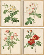 SIGNWIN Framed Vintage Colorful Wildflower Wall Art, Set of 4 Variety Floral Wall Decor Prints, Nature Wilderness Wall Décor for Living Room, Bedroom - 11"x14" Natural