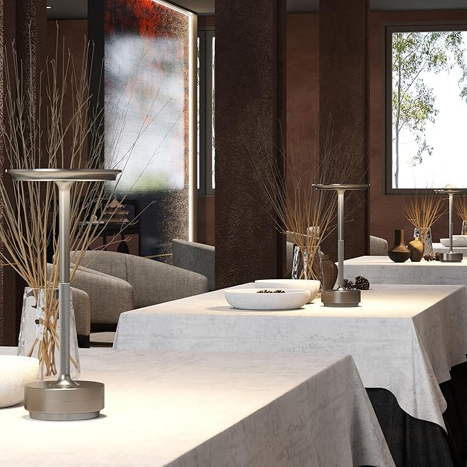 Cordless Table Lamp, LED Rechargeable Table Light with 3 Temp Settings, Stepless Dimming, 5000mAh Battery, USB-C, Memory, Aluminum Alloy, for Home, Patio, Restaurant, Outdoor. Silver