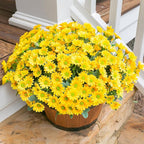 Daisy Artificial Flowers for Outdoors Fall Autumn Decoration, 6 Bundles Fake Mums Yellow Silk Flowers for Outside Look Real UV Resistant Faux Flowers Plants for Planter Front Door Home Indoor Porch