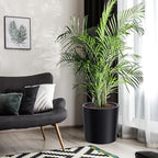 Tall Round Planter Set of 2, 20" Large Planter Pots with Built-in Drainage and a Water Level Monitor and Wheels for Patio, Porch, Living Room, or Home Office