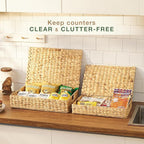 Set of 2 Wicker Baskets with Lid for Organizing - Decorative Storage Boxes With Lids for Home Decor, Shelves - Organic Modern Home Decor - Remote Box - Coffee Table Basket