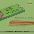 Raajsee Incense Sticks Eucalyptus 100 gm Pack-100% Pure Organic Natural Hand Rolled Free from Chemicals-Perfect for Church, Aromatherapy,Relaxation,Meditation,Positivity & Sensual Therapy