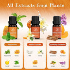 ASAKUKI Essential Oils for Diffusers for Home, Fragrance Oil for Candle Making, Peppermint, Vanilla Cupcake, Sparkling Cinnamon, Spiced Pumpkin, Christmas Wreath and Apple Cinnamon 6 x 10 ml