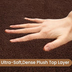 Sour Lemon 5x7 Area Rugs for Living Room, Soft Large Area Rug Fluffy Rugs for Bedroom，Machine Washable Area Rug Non Slip Carpet Rug for Living Room Playroom Kids Room Home Decor