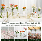 Small Clear Glass Bud Vases 10Pcs Mini Vases for Flowers Tulip Eucalyptus Plants, Glass Flower Vases for Centerpieces Dining Table, Clear Bud Vases Bulk for Wedding Party Bridal Shower Home Decor