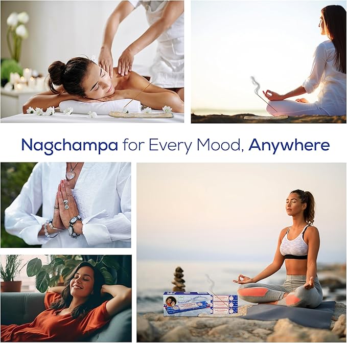 Satya Nagchampa Incense Sticks, Satya Bng (Bangalore) Insenses 15gmx12 Pack with Raajsee Incense Holder Bundle, Satya Nagchampa Natural Incense