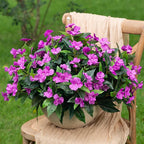 UUqueeten15.7” Fall Decorations for Home Fake Fall Flowers Fake Plants Artificial Impatiens Bouquet Flowers for Outdoors Silk Faux Flowers Impatiens Plants Decor Indoor Planters 8PCS (Purple)