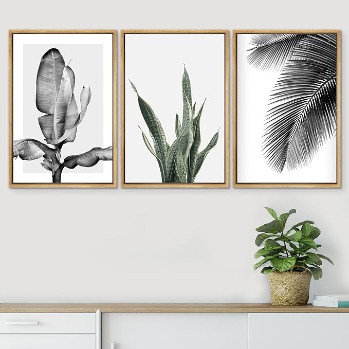 SIGNWIN Framed Canvas Print Wall Art Trio of Jungle Palms & Snake Succulents Floral Plants Photography Modern Art Minimalist Black and White for Living Room, Bedroom, Office - 16"x24"x3 Natural