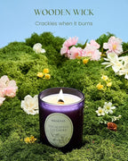 M&SENSE Eucalyptus Lavender Scented Candle, Cracking Wooden Wick Soy Wax, 18oz 100 Hours Long Lasting Clean Burn, Large Jar Candles for Home Decor, Non-Toxic Relaxing Aromatherapy Gifts for Women