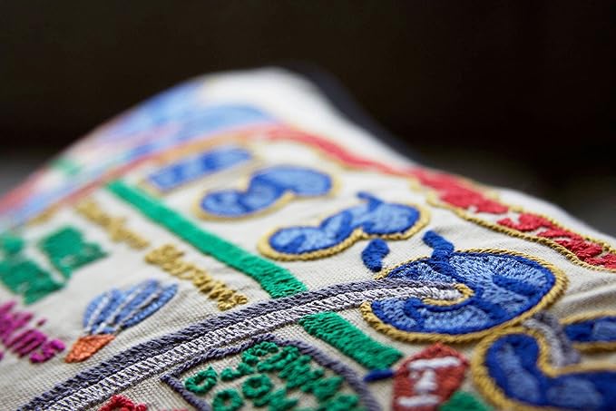 Catstudio Missouri Embroidered Decorative Throw Pillow