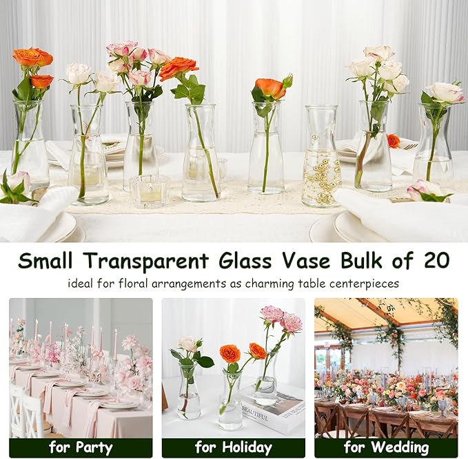 Small Clear Glass Bud Vases 20Pcs Mini Vases for Flowers Tulip Eucalyptus Plants, Glass Flower Vases for Centerpieces Dining Table, Clear Bud Vases Bulk for Wedding Party Bridal Shower Home Decor