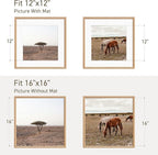 16x16 Picture Frame Set of 4 Natural Solid Oak Photo Frames with 12x12 Removable Mat Wall Hanging Large Handcrafted Frame with HD Plexiglass Wall and Tabletop Display Large Poster Frame