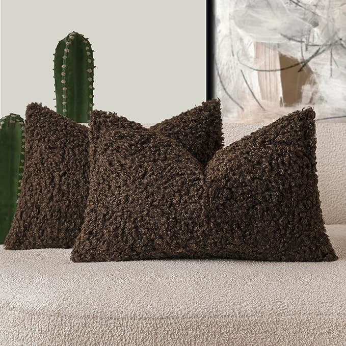 Foindtower Set of 2 Curly Teddy Wool Pillow Covers Decorative Boucle Textured Lumbar Throw Pillow Faux Fur Sherpa Pillowcases Sheepskin Fuzzy Cushion Case for Sofa Bedroom Car 12"x20" Dark Brown