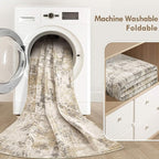 Tortania Washable 5x8 Area Rug for Living Room: Modern Abstract Neutral Large Soft Thin Rugs - Non Slip Indoor Carpet for Bedroom Dining Room Office Nursery Home Floor Decoration - Beige/Brown/Gray