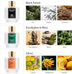 Airkeep Reed Diffuser Set of 3, Black Forest Eucalyptus Moss Citrus Oil Reed Diffusers for Bedroom Living Room Office Aromatherapy Oil Reed Diffuser for Gift 50ml x 3