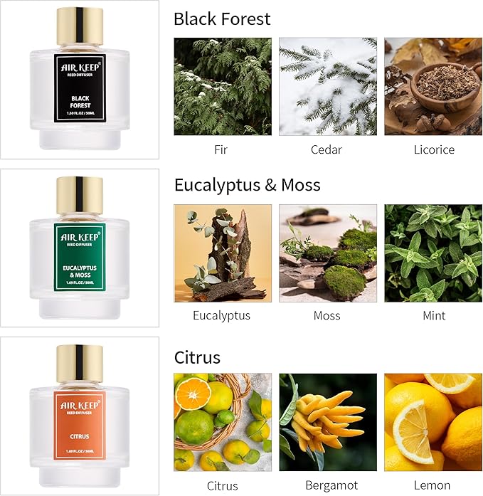 Airkeep Reed Diffuser Set of 3, Black Forest Eucalyptus Moss Citrus Oil Reed Diffusers for Bedroom Living Room Office Aromatherapy Oil Reed Diffuser for Gift 50ml x 3