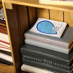 100 Gram 30 Packs Moisture Absorbers, Dehumidifier Bags for Bathrooms, Basements, Rvs, Humidity Packets for Closet