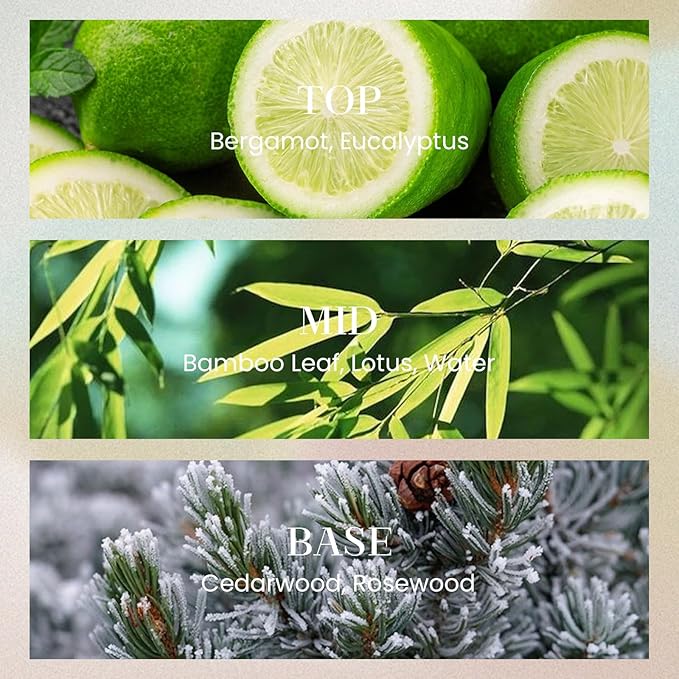 M&SENSE 10.14 oz Large Reed Diffuser Set | Forset Scent Home Oil Diffuser with Sticks | Hotel Collection Non-Toxic Essential Oil |for Bedroom Bathroom Living Room