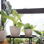 8 Inch + 6 Inch Retro Ceramic Planter Set of 2 with Drainage Hole and Saucer for Multiple Plants, Indoor-Outdoor Garden Pots for Succulent, Orchid, and Flower (Retro White)