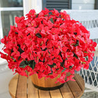 Ivydale Artificial Bougainvillea Flowers for Outdoors Decoration, 4 Bundles Fake Flower UV Resistant Realistic Silk Flowers for Outside, Faux Plants for Planter Patio Porch Home Decor (Red)