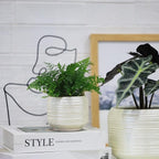 Mini Succulent Planter Set – 3.7 Inch Ceramic Pots with Drainage for Indoor Plants, Small Decorative Flower Pots for Cactus and House Plants, Set of 4