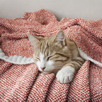 MIULEE Fall Rust Super Soft Throw Blanket for Bed, Twin Size Cozy Fluffy Warm Blankets Knit Blankets for Couch, Sofa, Chair, Living Room, Camping, Picnic, 60 x 80 inch