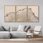 SIGNINART Large Tree Ring Framed Canvas Wall Art Set, Rustic Beige Nature Wooden Wall Decor, Neutral Wood Stump Artwork, Modern Art Prints for Bedroom Living Room Office 16"x24"x3