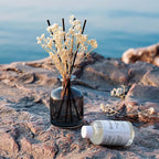 Brakula Reed Diffuser Set, 6.09 fl oz (180 ml)- Bamboo with 8 Reed Sticks, Home Fragrance Reed Diffuser for Bathroom Shelf Decor