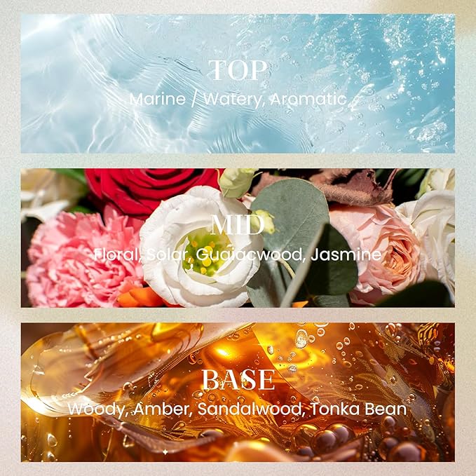 M&SENSE 6.3 oz Large Reed Diffuser Set | New Home Scent Oil Diffuser with Sticks | Hotel Collection Non-Toxic Essential Oil |for Bedroom Bathroom Living Room