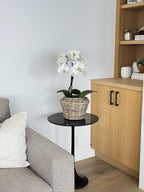 Rattan Kobo Indoor Outdoor Planter Basket with Plastic Pot X Small 1 Gallon Soil Capacity