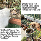 Meerkat Statue - Charming Meerkat Garden Animal Statue: Lifelike Decor Accent for Your Yard or Patio - Add Personality to Your Outdoor Space