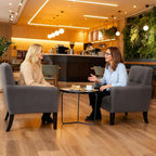 Accent Chair, Mid Century Modern Living Room Chairs Comfy Reading Chair with Upholstered Cushion Relax Armchair for Bedroom Apartment,Office,Dark Grey