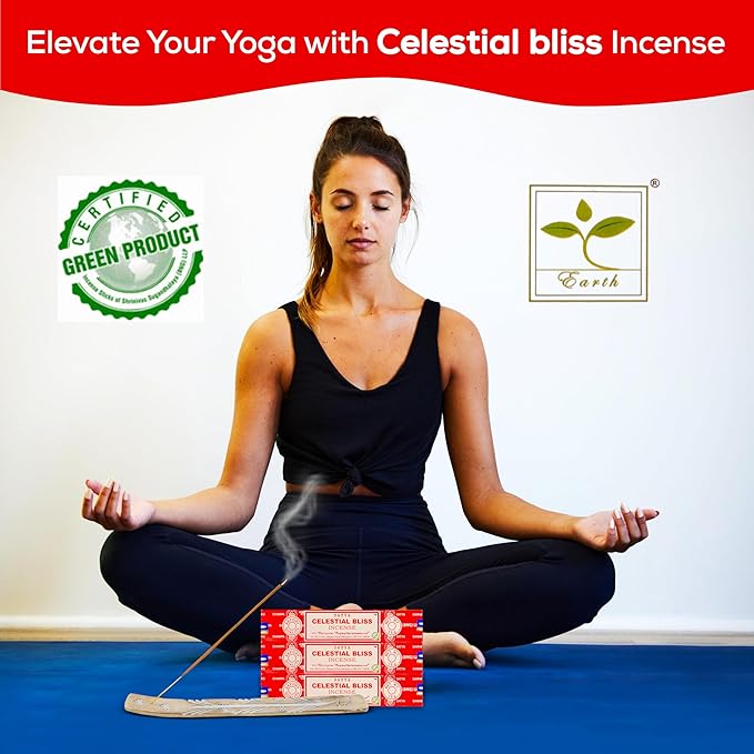 Raajsee Satya Celestial Bliss Nagchampa Incense, 15gmx3 Pack (12 Sets, 160 Pieces, 180g) with Raajsee Incense Holder