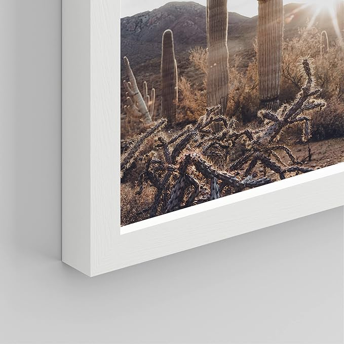 SIGNWIN Framed Cactus Desert Landscape Wall Art, Set of 4 Southwest Texas Arizona Saguaro Wall Decor Prints, Nature Wilderness Wall Décor for Living Room, Bedroom - 12"x16" White