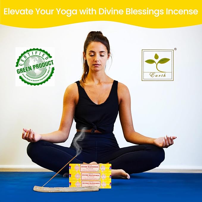 Satya Divine Blessing Incense Sticks, Satya Bng (Bangalore) Insenses 15gmx3 Pack with Raajsee Incense Holder Bundle, Satya Nagchampa Natural Incense