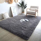Fluffy Area Rug for Living Room: Grey Rug 5x8 Shag Area Rugs for Bedroom-Shaggy Area Rug,Indoor Ultra Soft Fluffy Plush Carpet for Living Room,Bedroom (5x8 Feet, Gray)