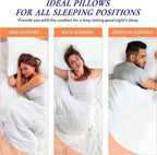 ROYALE LINENS Pillows Standard Size Set of 2 - Bed Pillows for Sleeping - Piping Pillow for Back, Stomach & Side Sleepers - Down Alternative Standard Pillow - Hotel Quality (20x26 Inches,Pack of 2)