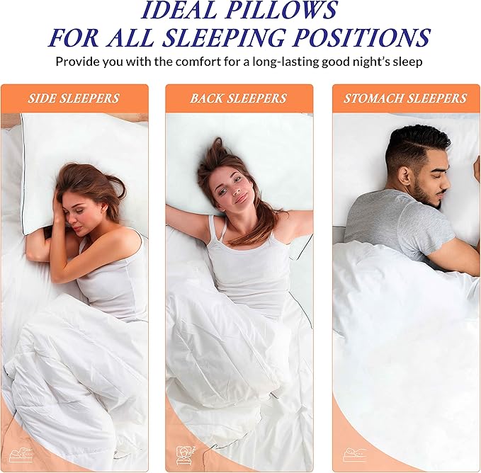 ROYALE LINENS Pillows Queen Size Set of 2 - Bed Pillows for Sleeping - Piping Pillow for Back, Stomach or Side Sleepers - Down Alternative Queen Pillows - Soft Hotel Quality (20x30 Inches, Pack of 2)