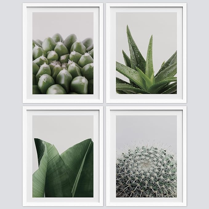 SIGNWIN Framed Tropical Island Wall Art, Set of 4 Green Desert Plant Cactus Snake Plant Wall Decor Prints, Nature Wilderness Wall Décor for Living Room, Bedroom - 12"x16" White