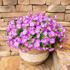 HyeFlora Artificial Flowers for Outdoors Fake Plants Outside Decoration, 12 Bundles Silk Purple Morning Glory UV Resistant Look Real Faux Flowers for Planter Front Door Porch Patio Yard Gardens Home