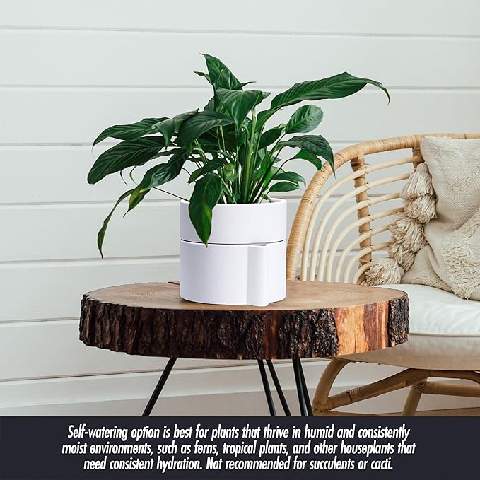 Phoenix Vine 6.5 Inch Self-Watering Planter Pot with Terracotta Insert, Deep Water Reservoir, and Ceramic-Alike BPA-Free Plastic Pot for Plant, Modern Planter for Houseplants, White, 53-A-S-1