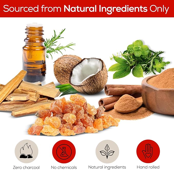 Satya Dragon Blood Incense Sticks 180 gm (15GM X 12 Pack) from Satya Sai Baba Nag Champa and Raajsee Incense Sticks Holder Bundle, Free from Chemicals,Natural Insenses