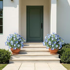 UV Resistant Artificial Petunias Fake Flowers Artificial Flowers for Outdoors Silk Flowers Fake Hanging Basket Plants Suitable for Outdoor Porch Decoration Patio Decoration,13.3In,Blue, 4PCS