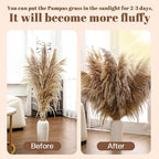 40" inch 11 Stems Natural Pampas Grass Tall Decor,Pompas Grass,Large Brown Tall Pampas Grass for Floor Vase,Wedding Decorations,Party,Boho Home Decor,and Creating a Boho Ambiance