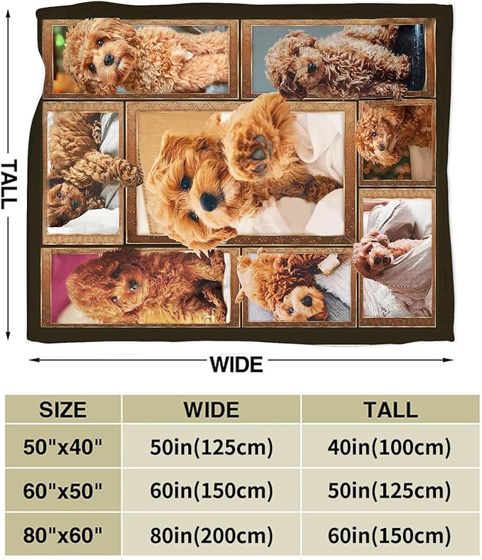 Poodle Blanket for Dog Lover Gifts Cute Poodle Throw Blanket for Girls Boys Women Man Plush Cozy Flannel Fleece Ultra Soft Fuzzy Blankets 50"X40"