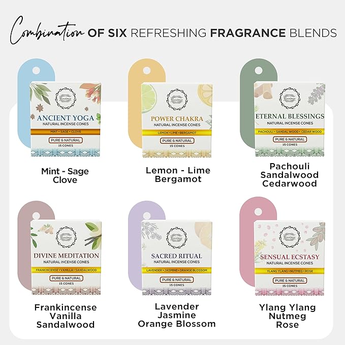 Raajsee Natural Incense Cones,6 Pack Mixed Scents Gift Pack 15 pc Each (90 Total), Insense Cones Variety Pack, 100% Organic Non Toxic Natural - Hand Rolled Free from Chemicals (Pack 3)